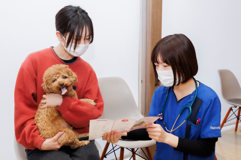 手術計画・ご説明