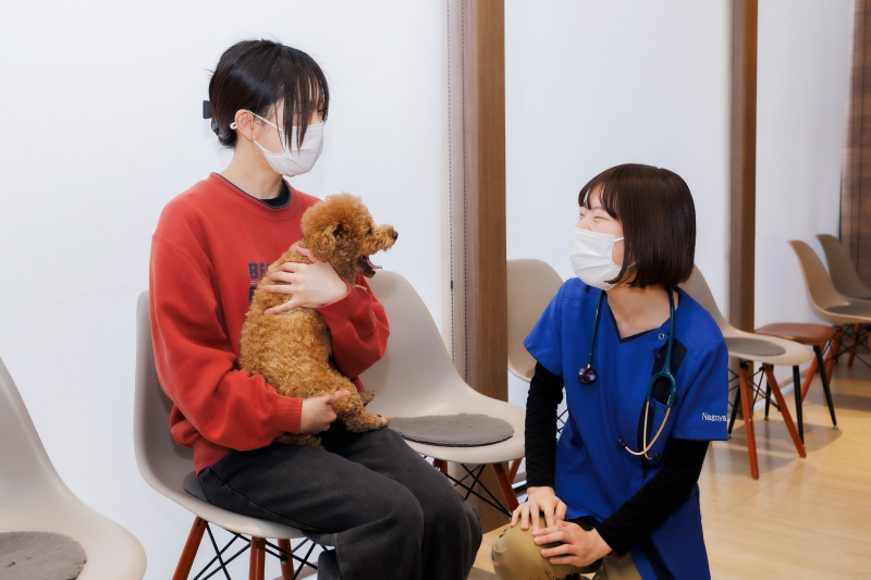 退院・ご自宅での過ごし方