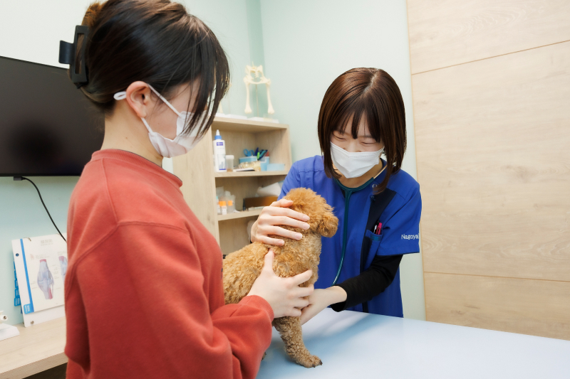 術後の診察・リハビリ