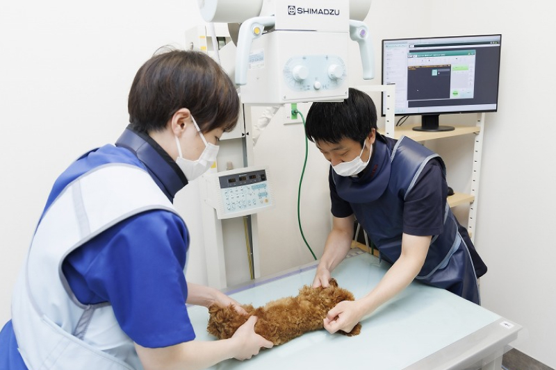 ご来院・事前健診