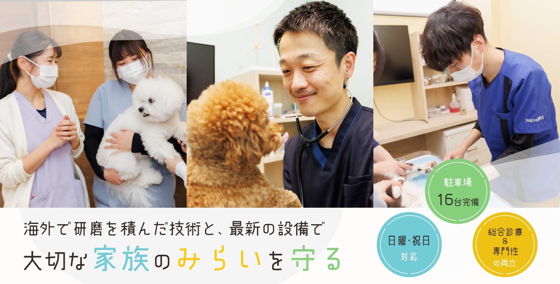 透明なマウスピース矯正で花並びを綺麗に