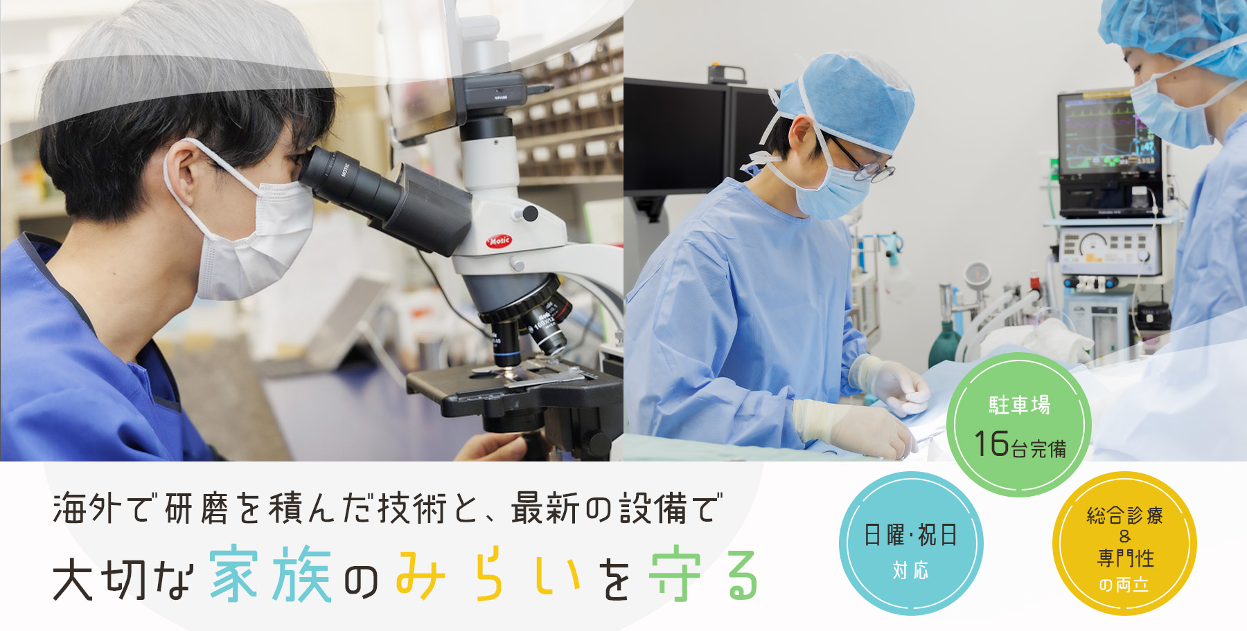 透明なマウスピース矯正で花並びを綺麗に