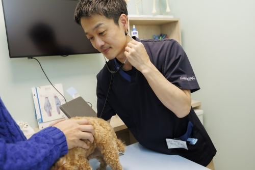 最良のホーム
ドクターであり続けます