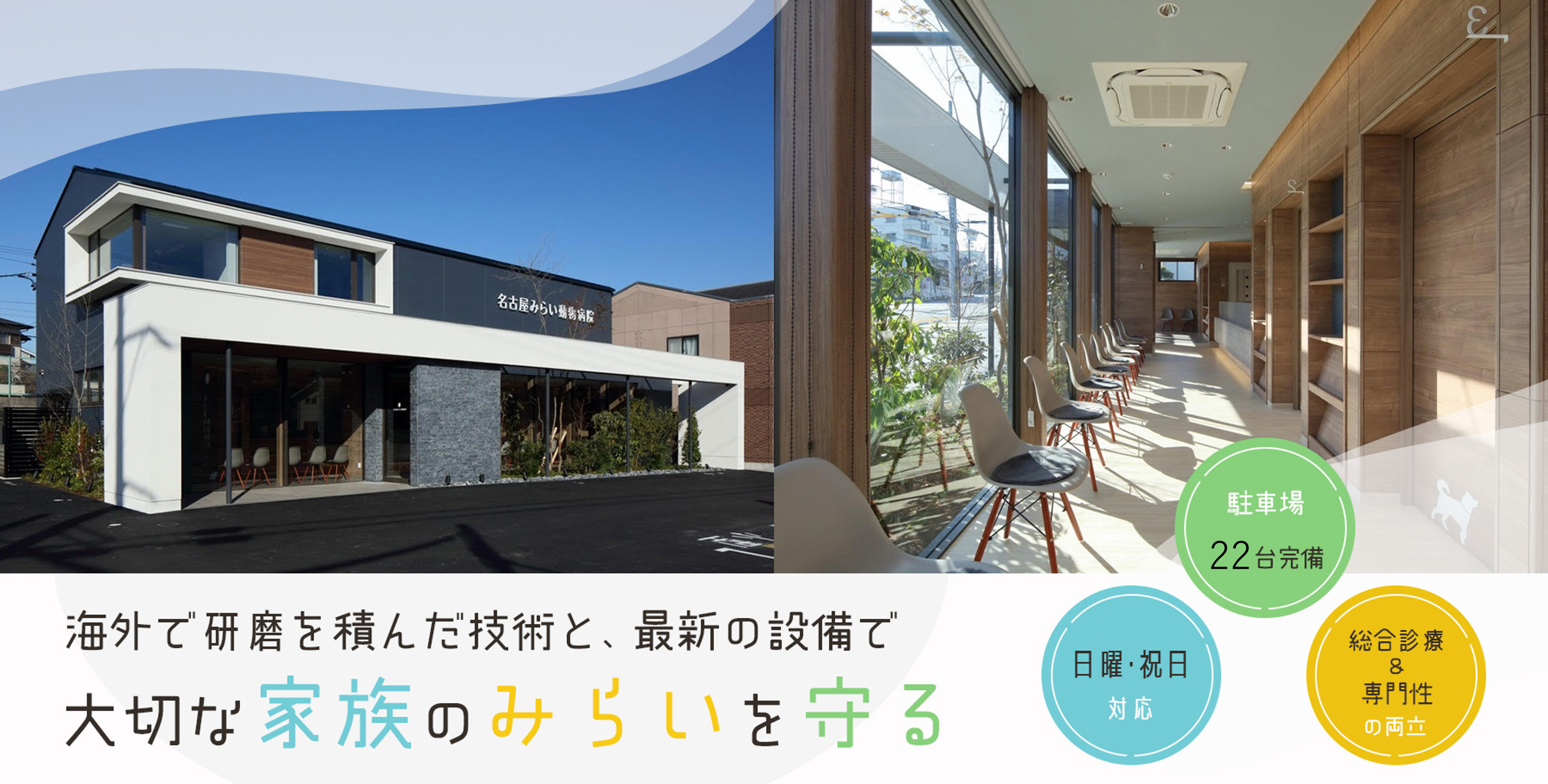 透明なマウスピース矯正で花並びを綺麗に